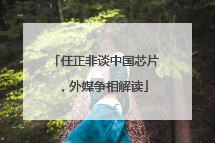任正非谈中国芯片，外媒争相解读