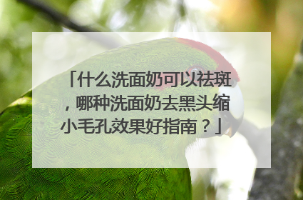 什么洗面奶可以祛斑，哪种洗面奶去黑头缩小毛孔效果好指南？