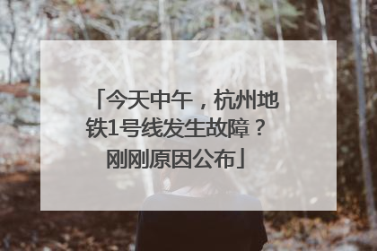今天中午，杭州地铁1号线发生故障？刚刚原因公布