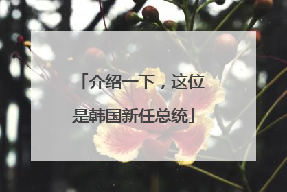 介绍一下，这位是韩国新任总统