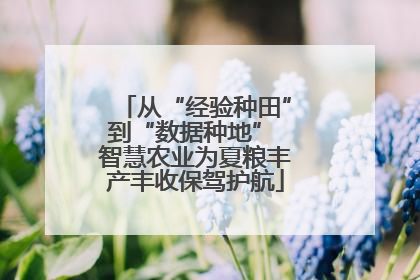 从“经验种田”到“数据种地” 智慧农业为夏粮丰产丰收保驾护航