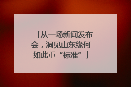 从一场新闻发布会，洞见山东缘何如此重“标准”