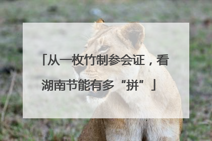 从一枚竹制参会证，看湖南节能有多“拼”