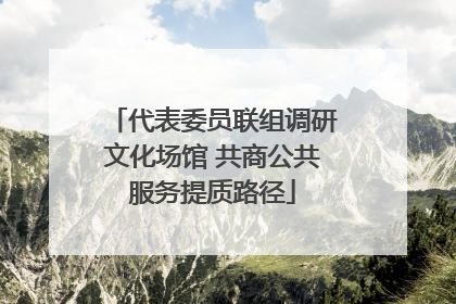代表委员联组调研文化场馆 共商公共服务提质路径