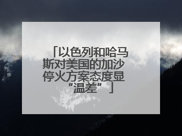 以色列和哈马斯对美国的加沙停火方案态度显“温差”