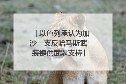 以色列承认为加沙一支反哈马斯武装提供武器支持