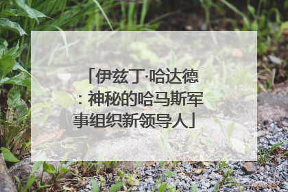 伊兹丁·哈达德：神秘的哈马斯军事组织新领导人