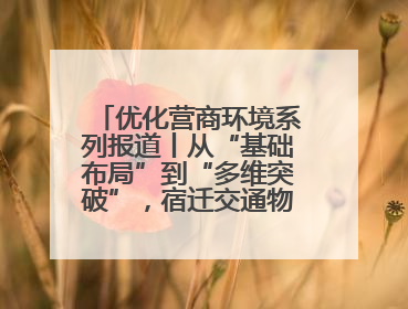 优化营商环境系列报道丨从“基础布局”到“多维突破”，宿迁交通物流绘就转型增效新画卷