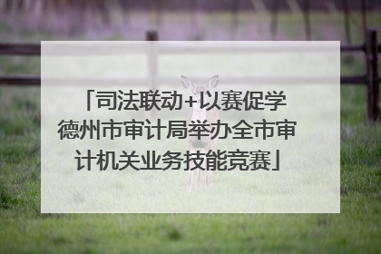 司法联动+以赛促学 德州市审计局举办全市审计机关业务技能竞赛