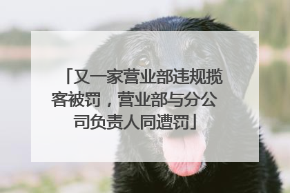 又一家营业部违规揽客被罚，营业部与分公司负责人同遭罚