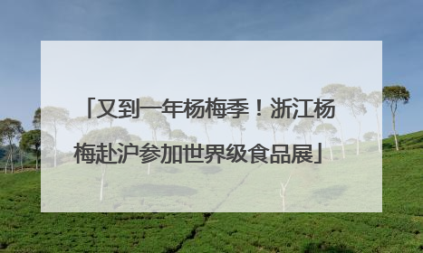 又到一年杨梅季！浙江杨梅赴沪参加世界级食品展