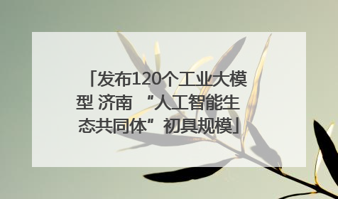 发布120个工业大模型 济南 “人工智能生态共同体”初具规模