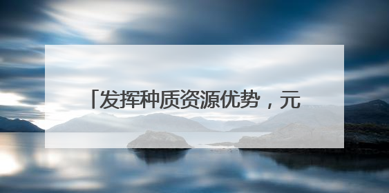 发挥种质资源优势，元江芒果香更长走更远