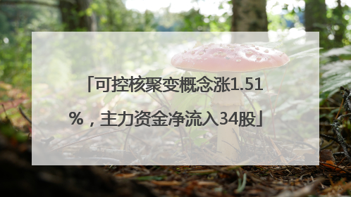 可控核聚变概念涨1.51%，主力资金净流入34股