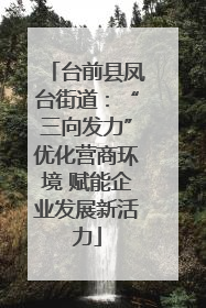 台前县凤台街道：“三向发力”优化营商环境 赋能企业发展新活力