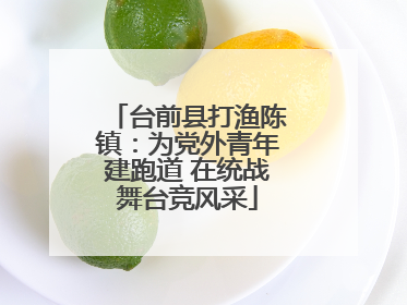 台前县打渔陈镇：为党外青年建跑道 在统战舞台竞风采