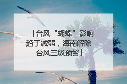 台风“蝴蝶”影响趋于减弱，海南解除台风三级预警