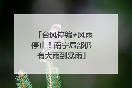 台风停编≠风雨停止！南宁局部仍有大雨到暴雨
