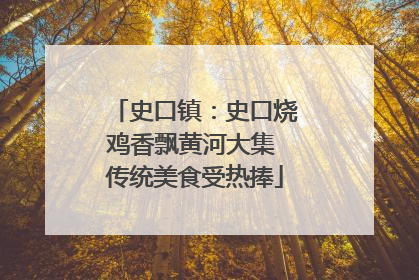 史口镇：史口烧鸡香飘黄河大集 传统美食受热捧
