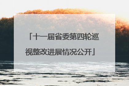 十一届省委第四轮巡视整改进展情况公开