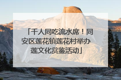 千人同吃流水席！同安区莲花镇莲花村举办莲文化赏鉴活动