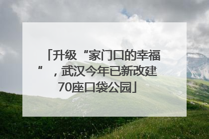 升级“家门口的幸福”，武汉今年已新改建70座口袋公园