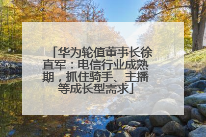 华为轮值董事长徐直军：电信行业成熟期，抓住骑手、主播等成长型需求