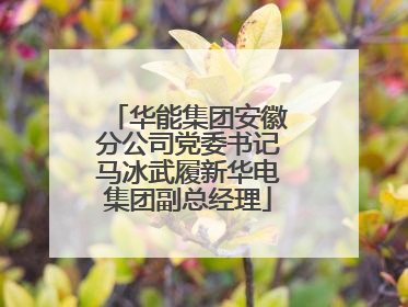 华能集团安徽分公司党委书记马冰武履新华电集团副总经理
