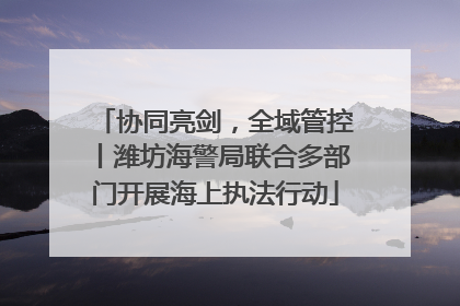 协同亮剑，全域管控丨潍坊海警局联合多部门开展海上执法行动