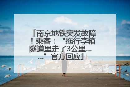 南京地铁突发故障！乘客：“拖行李箱隧道里走了3公里……”官方回应