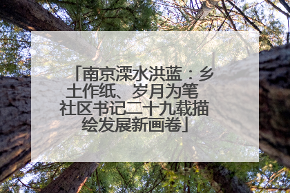 南京溧水洪蓝：乡土作纸、岁月为笔 社区书记二十九载描绘发展新画卷