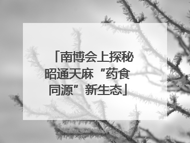 南博会上探秘昭通天麻“药食同源”新生态