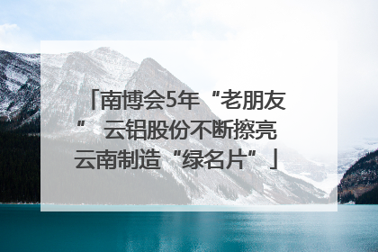 南博会5年“老朋友” 云铝股份不断擦亮云南制造“绿名片”