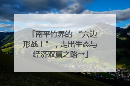 南平竹界的 “六边形战士”，走出生态与经济双赢之路→