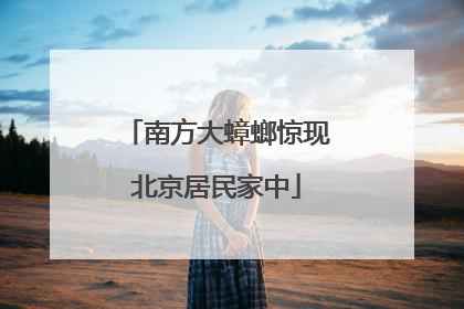 南方大蟑螂惊现北京居民家中