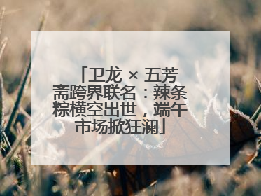 卫龙 × 五芳斋跨界联名：辣条粽横空出世，端午市场掀狂澜