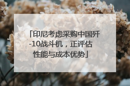 印尼考虑采购中国歼-10战斗机，正评估性能与成本优势