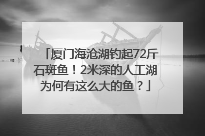厦门海沧湖钓起72斤石斑鱼！2米深的人工湖为何有这么大的鱼？