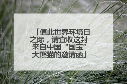 值此世界环境日之际，请查收这封来自中国“国宝”大熊猫的邀请函