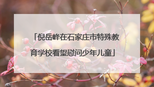 倪岳峰在石家庄市特殊教育学校看望慰问少年儿童
