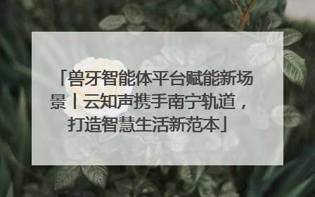 兽牙智能体平台赋能新场景丨云知声携手南宁轨道，打造智慧生活新范本