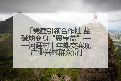 党建引领合作社 盐碱地变身“聚宝盆”——河涯村十年蝶变实现产业兴村群众富
