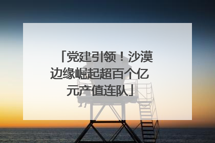 党建引领！沙漠边缘崛起超百个亿元产值连队
