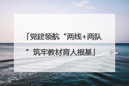 党建领航“两线+两队”筑牢教材育人根基