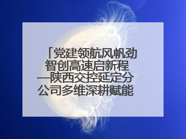 党建领航风帆劲 智创高速启新程—陕西交控延定分公司多维深耕赋能运营管理新跨越