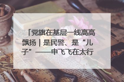 党旗在基层一线高高飘扬｜是民警、是“儿子”——申飞飞在太行山中的一线坚守