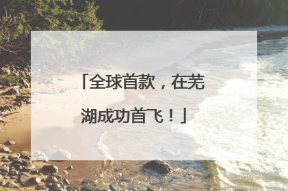 全球首款，在芜湖成功首飞！