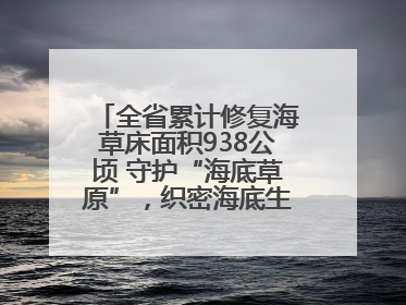 全省累计修复海草床面积938公顷 守护“海底草原”，织密海底生态“一张网”