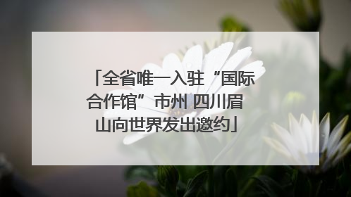 全省唯一入驻“国际合作馆”市州 四川眉山向世界发出邀约