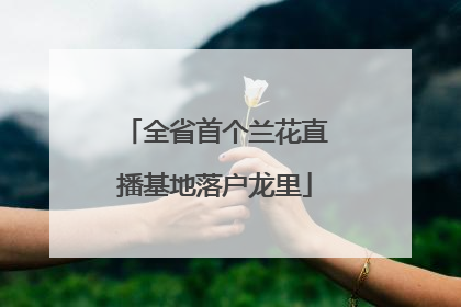全省首个兰花直播基地落户龙里